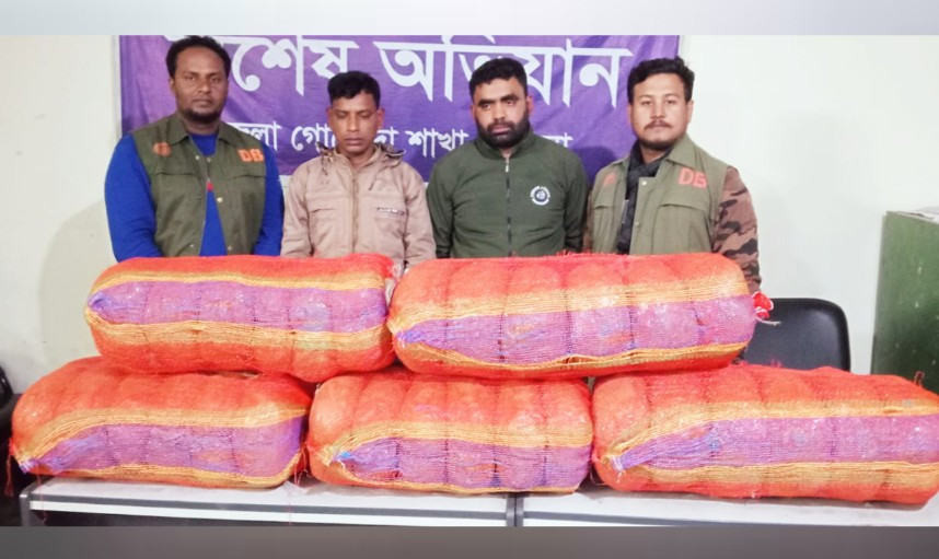 কুমিল্লা নগরীতে ৬০ কেজি গাঁজাসহ আটক ২